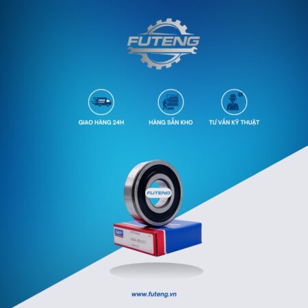 BẠC ĐẠN 6305-2RS