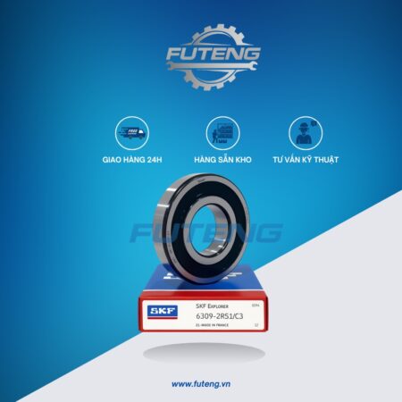 BẠC ĐẠN 6309 2RS