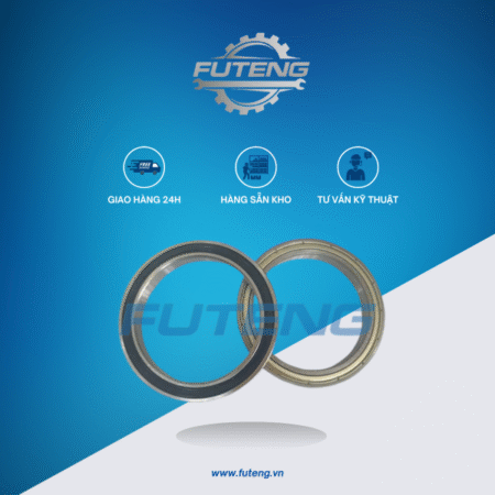 Bac dan 61906 2Z FAG 4