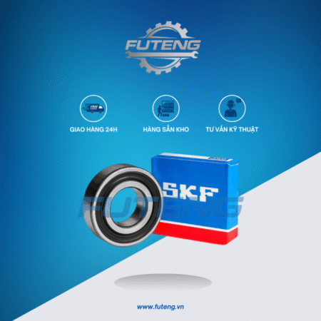 Bac dan 6310 2RS1C3 2