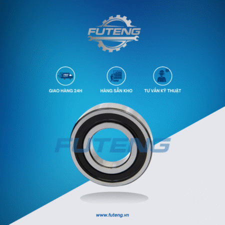 Bac dan 6310 2RS1C3 3