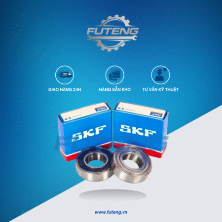 Vong bi 6206 2Z SKF 1