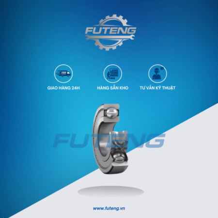 Vong bi 6206 2Z SKF 2